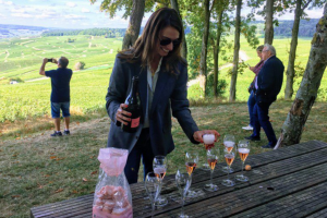 Indulge in a wild tasting, overlooking the astounding landscapes of Champagne during our Champagne wine tour.