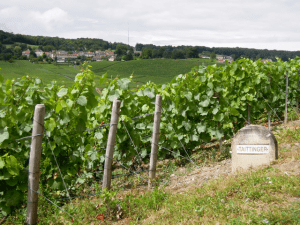 Wine day tour in Champagne from Paris and visit of Taittinger vineyards and tastings