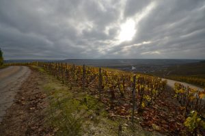 Wine day in Champagne, road through the vineyard and view on the villages
