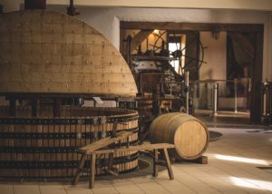 Visit of Museum during Wine day Tour