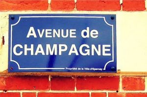 avenue de champagne wine day in champagne ; visit ; preparation ; museum ; authentic ; production