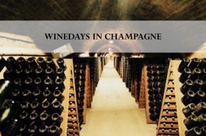 Visit of the cellar of ruinart and tasting during a luxury wine day tour to champagne