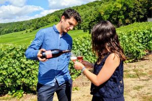 wine masterclass in vineyard