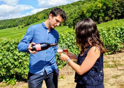 wine masterclass in vineyard