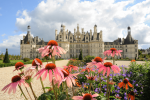 Explore the wonders of the château de Chambord during our Loire Valley private wine tour.