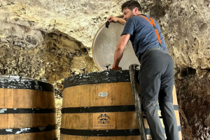 Built within the cliff, Montdomaine's cellars are a must see during our Loire Valley wine tour.