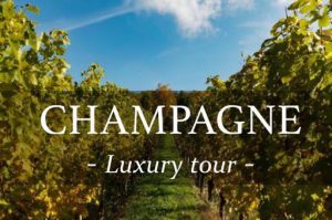 Champagne Wine day tour