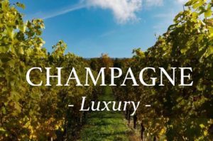 champagne luxury Wine day tour