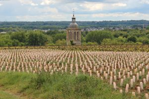 Visit of a vineyard of Loire during a private wine day tour from Paris