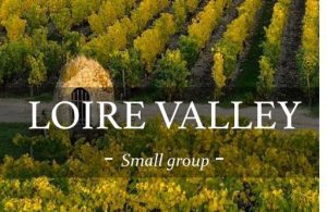 Wine tourism Loire valley in small groups