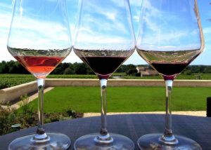 Wine tasting glasses during a private day tour to Loire Valley