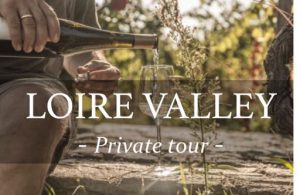 Loire valley visit in private wine day tour with tastings and visits