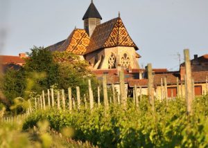 Visit of a vineyard of Loire during a wine day tour from Paris
