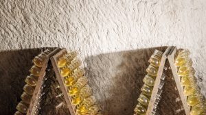 Visite of Champagne Ruinart cellars