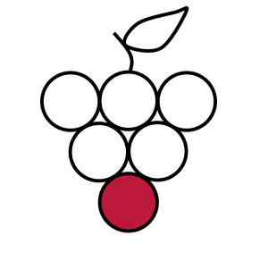 Grape pictogram of wine day tours
