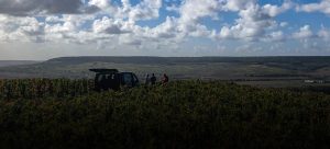 Wine tasting in the middle of the vineyard