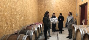 Visit of a winery in the Loire Valley, France - My Winedays day trip loire