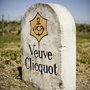 Veuve Clicquot Vineyard visit during a day tour in Champagne from Paris