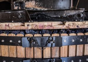 Pressure on grapes of pinot noir for champagne