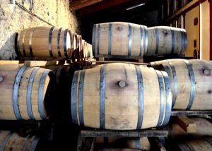 Visit of wine aging in cellar of Loire Valley