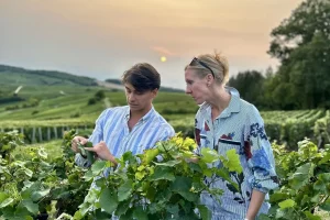 champagne private wine tour explications