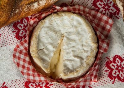 Tasting Camembert of Normandy during a wine day in Normandy from Paris