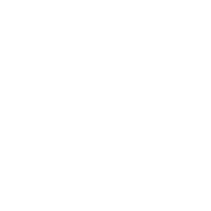 Logo of Castle