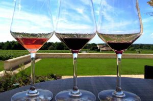 Wine tasting glasses during a private day tour to Loire Valley