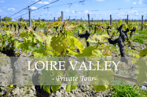 private tour loire valley