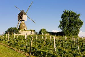 Vineyards in Champagne and the mill