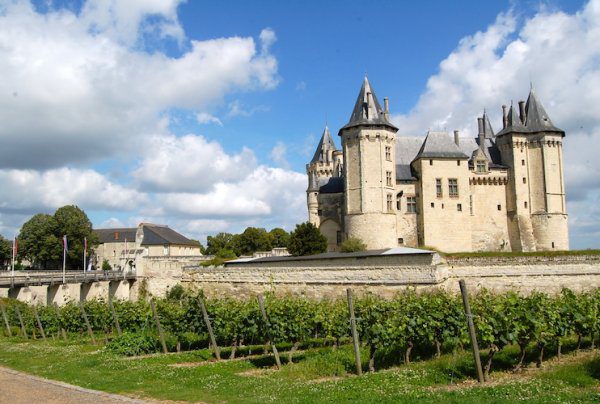 castle of Chinon Top 5 reasons to go to Loire Valley