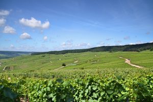 Landscape of vineyards from champagne, The greatest players of Champagne's history