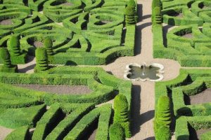 garden of villandry Top 5 reasons to go to Loire Valley