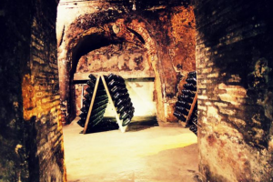 Champagne bottles disposed on riddling racks will be explored during our Loire & Champagne wine tour.