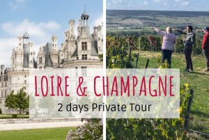 Chateau de Chambord and visit of the vineyard