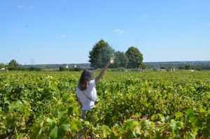The 4 outstanding regions of Loire Valley
