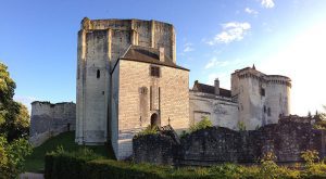 castle fo loches, Wines and Castles: must-know about the Loire valley