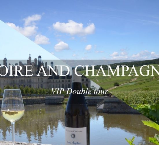 loire-and-champagne-double-tour-VIP