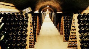 Wine cellars pupitre