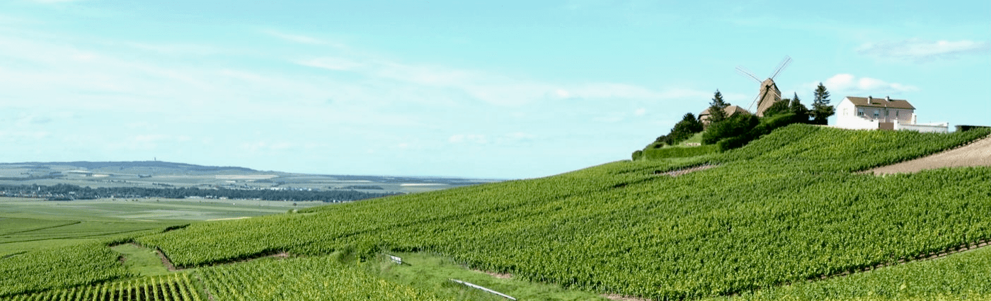 Visit Champagne region Champagne Day Trip from Paris My Winedays