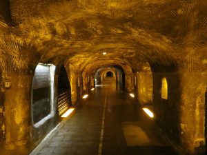 Visit epernay from Paris Champagne caves My Winedays