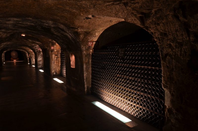 Champagne bottles in cellars My Winedays