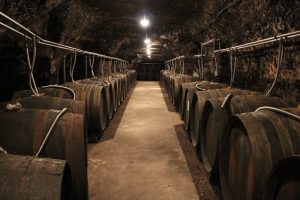 Cellars and barrels Loire Valley My Winedays