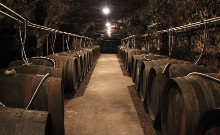 Cellars and barrels Loire Valley My Winedays