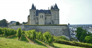 Loire Valley vineyard