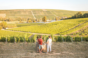 Stunning colors, cool breeze and a breath of fresh air awaits you in our Sancerre wine tour, only 2hrs away from Paris!