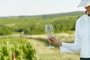 Sancerre Private Wine Day Tour Vineyard Tasting