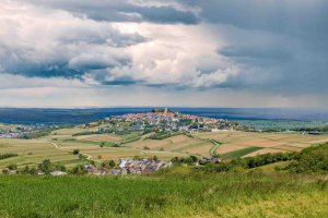 Sancerre Private Wine Day Tour Vineyard