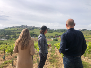 Wild tasting in the vineyards